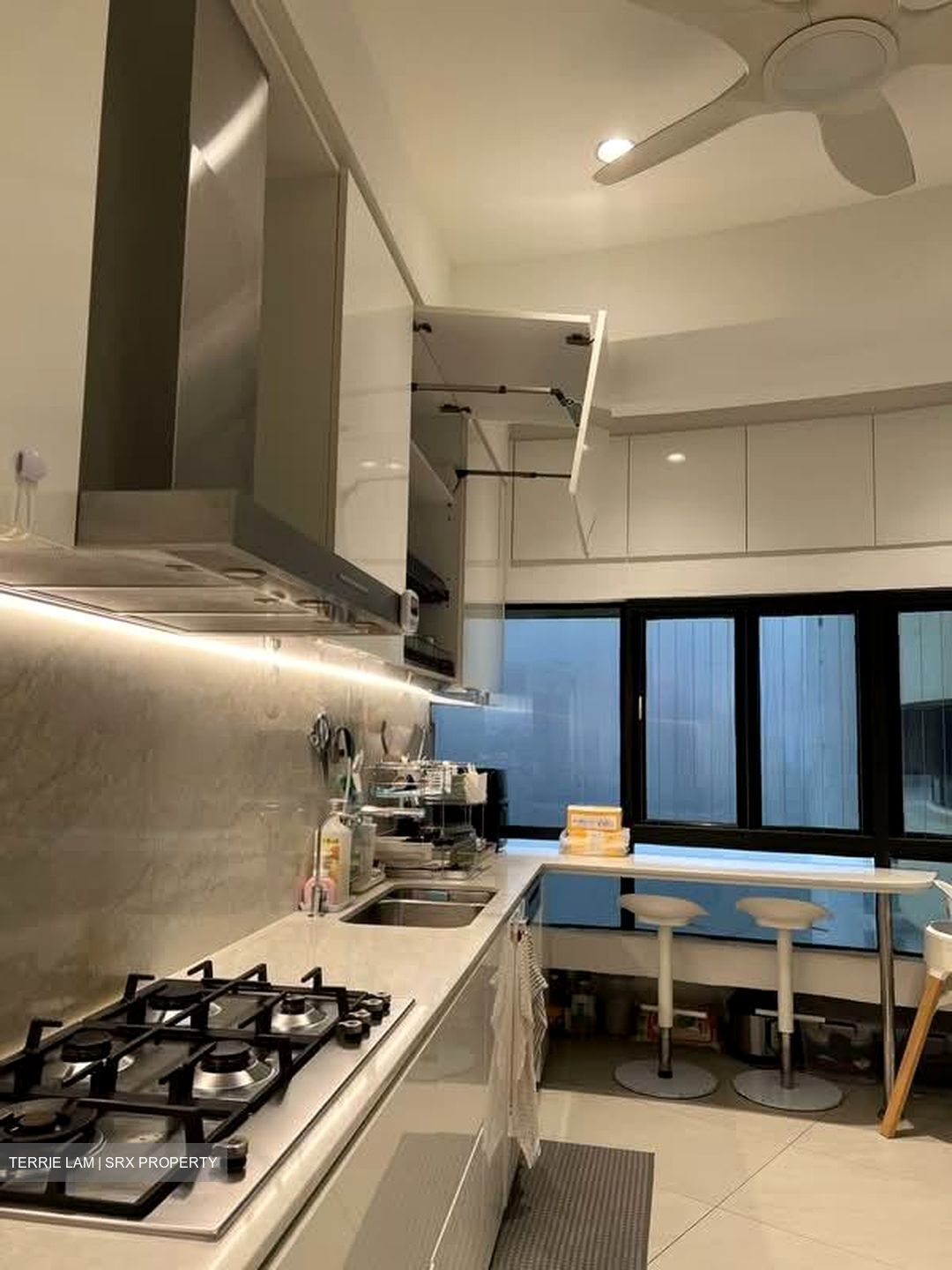 The Draycott (D10), Apartment #569548541
